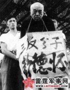 ���»�Ԫ˧1966�걻���ܰ�ܻر�������